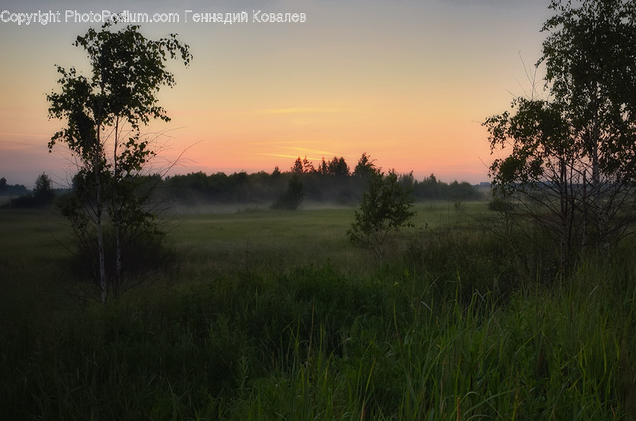 Nature, Outdoors, Dusk, Red Sky, Dawn