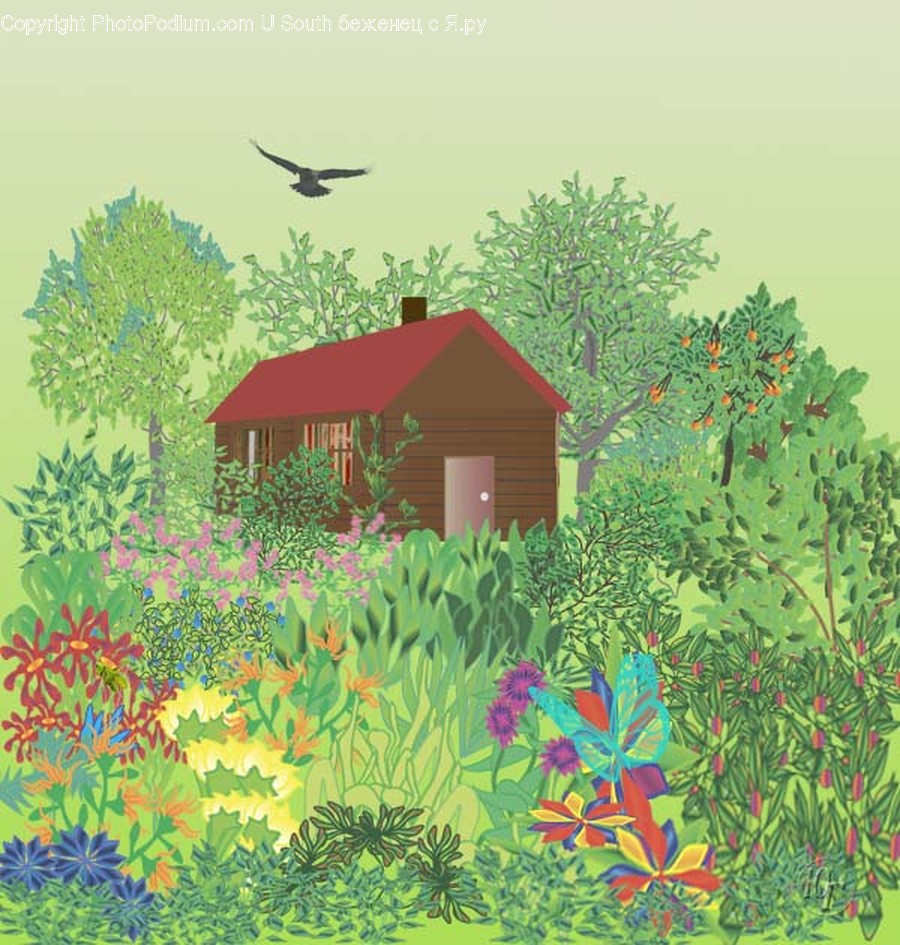 Housing, Building, Cottage, House, Nature