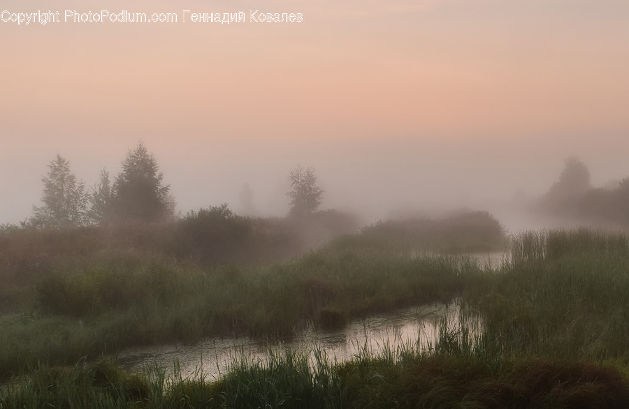 Nature, Weather, Outdoors, Mist, Fog
