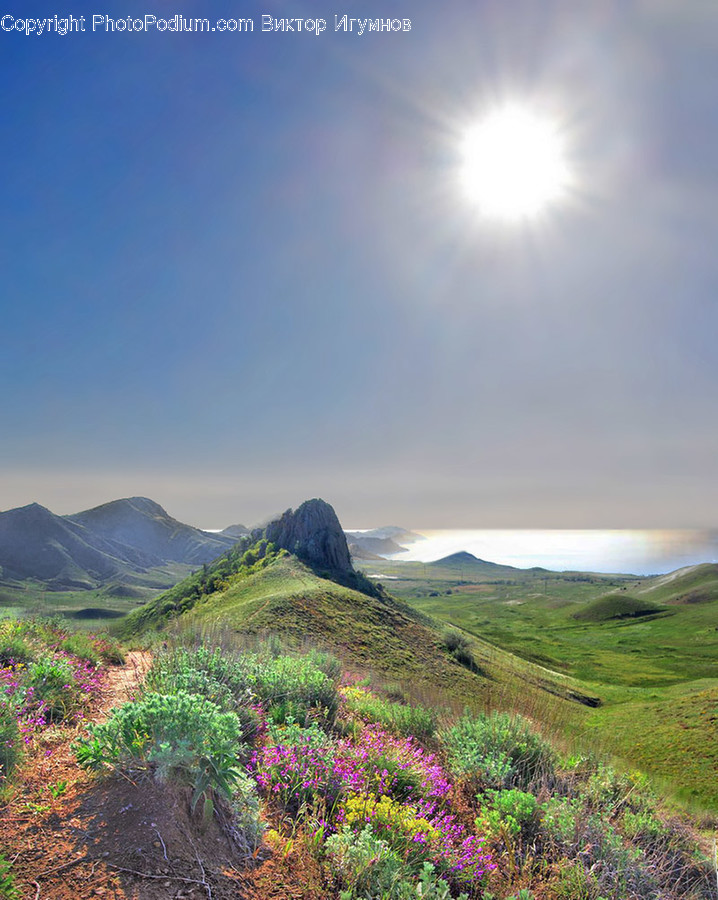 Outdoors, Nature, Field, Grassland, Countryside
