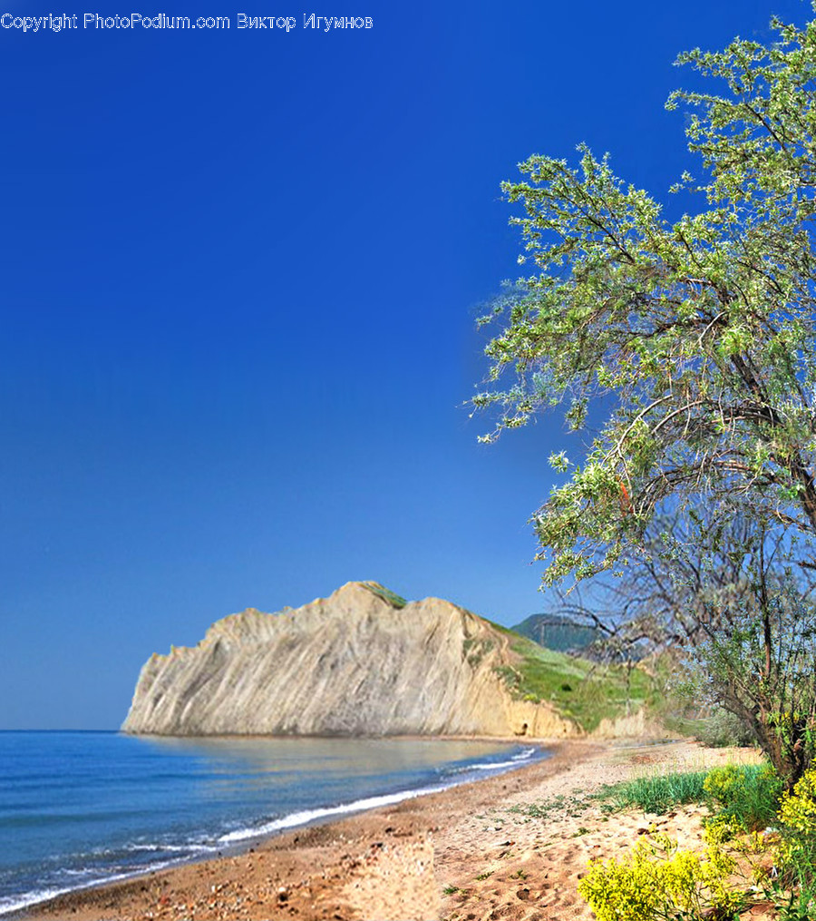 Shoreline, Water, Nature, Outdoors, Sea
