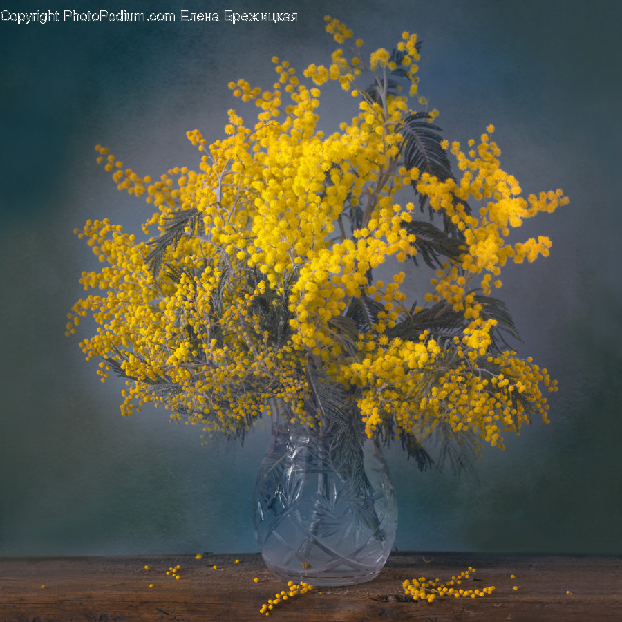 Nature, Outdoors, Painting, Art, Plant