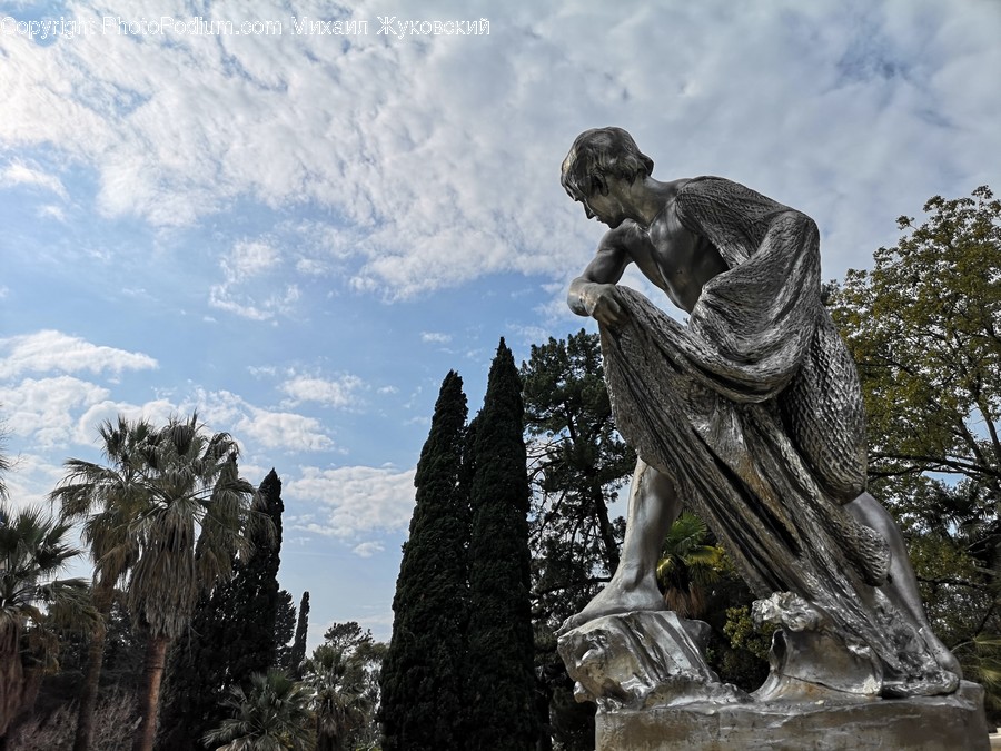 Tree, Plant, Sculpture, Art, Monument