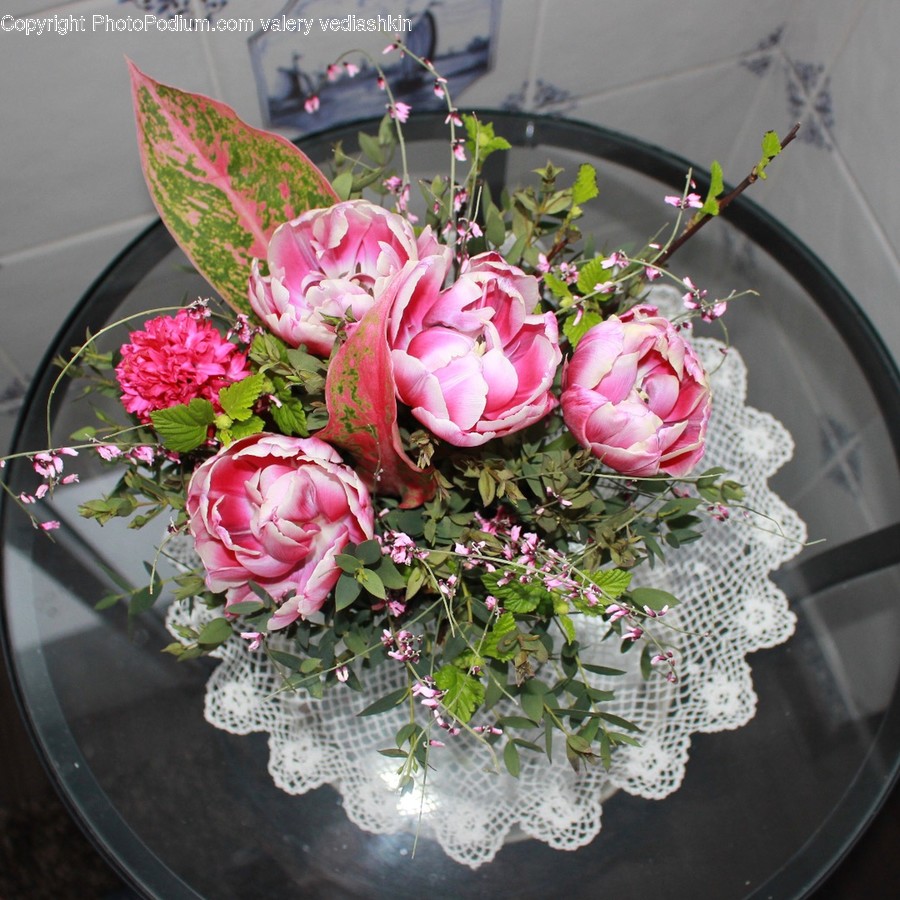 Plant, Blossom, Flower Bouquet, Flower, Flower Arrangement