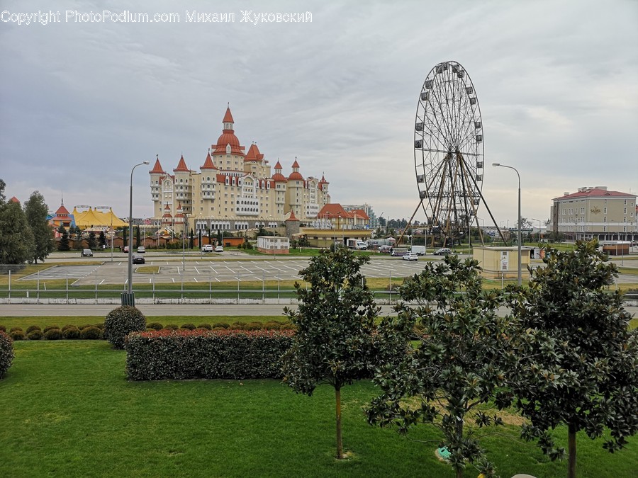 Plant, Grass, Amusement Park, Lawn, Ferris Wheel