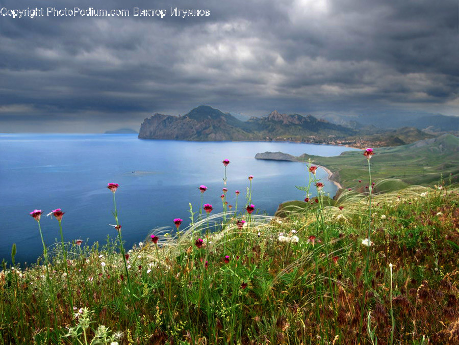Nature, Outdoors, Land, Sea, Ocean