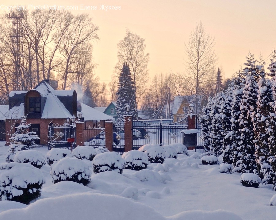 Nature, Outdoors, Snow, Winter, Blizzard