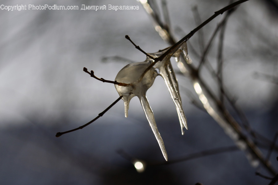 Nature, Ice, Outdoors, Snow, Winter