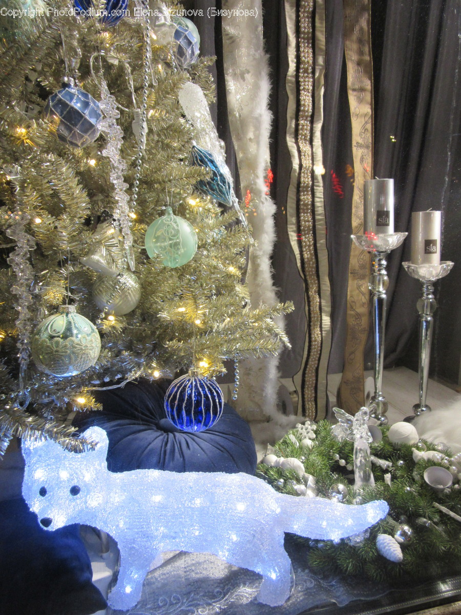 Plant, Tree, Ornament, Christmas Tree, Bird