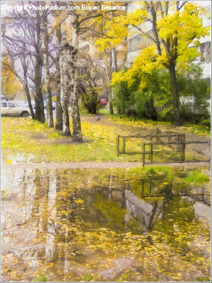 Birch, Tree, Wood, Art, Painting, Outdoors, Pond