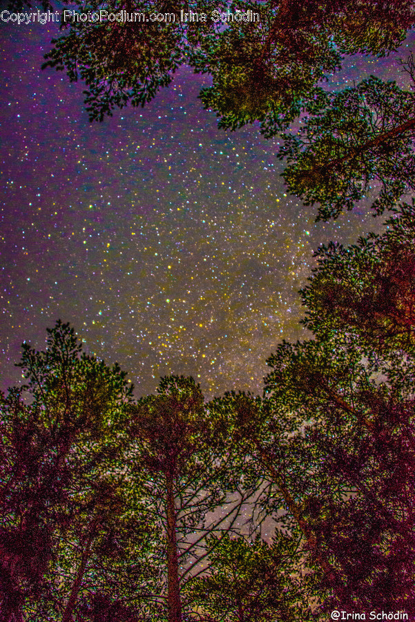 Nature, Outdoors, Night, Universe, Starry Sky