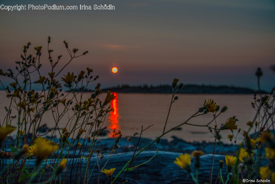 Nature, Outdoors, Sky, Dawn, Red Sky