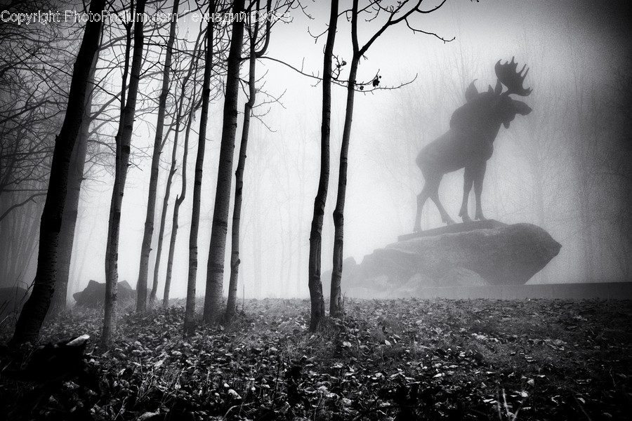 Nature, Weather, Outdoors, Ground, Fog