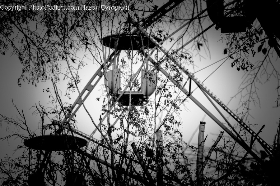 Lantern, Lamp, Utility Pole, Sunlight, Silhouette
