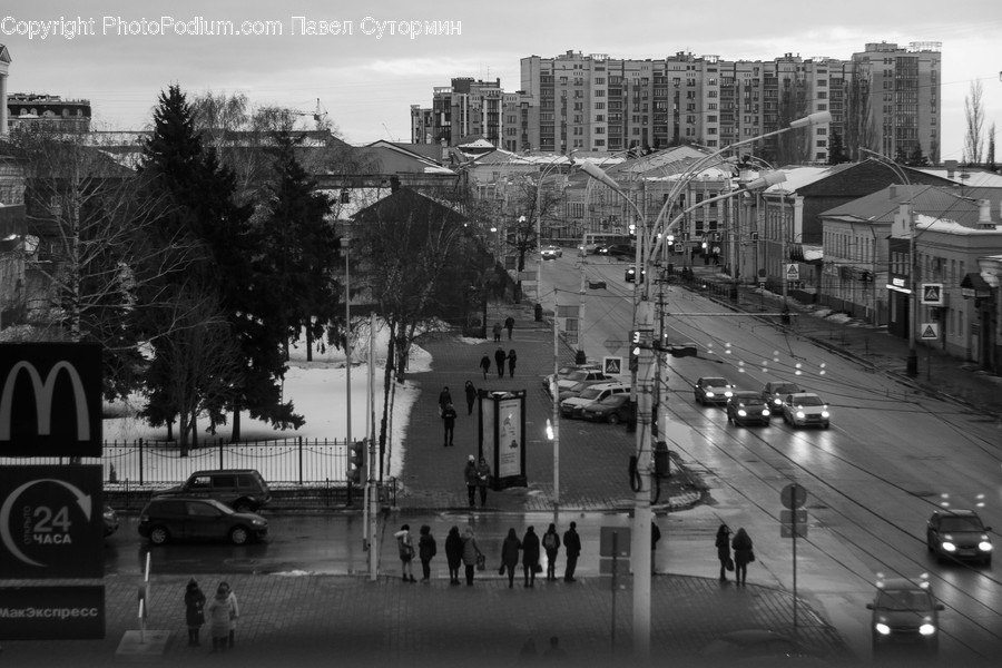 Person, Human, Town, City, Urban