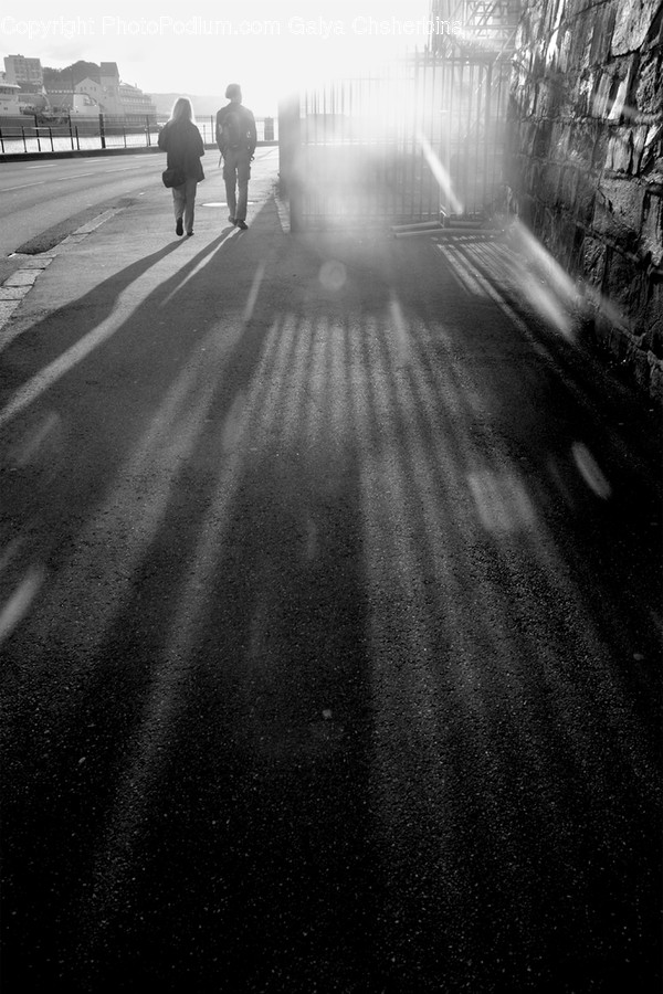 Human, Person, Tarmac, Asphalt, Pedestrian