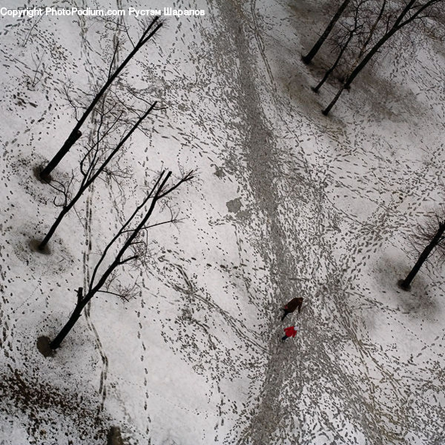 Bench, Outdoors, Sand, Soil, Ice, Snow, Asphalt