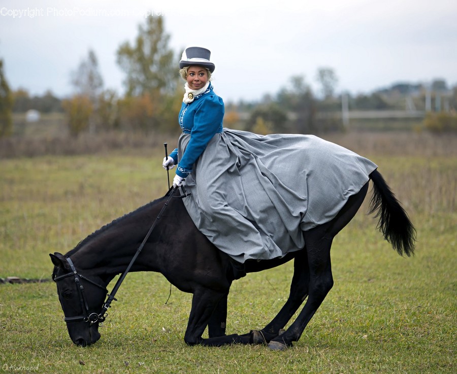 Animal, Horse, Mammal, Person, Human