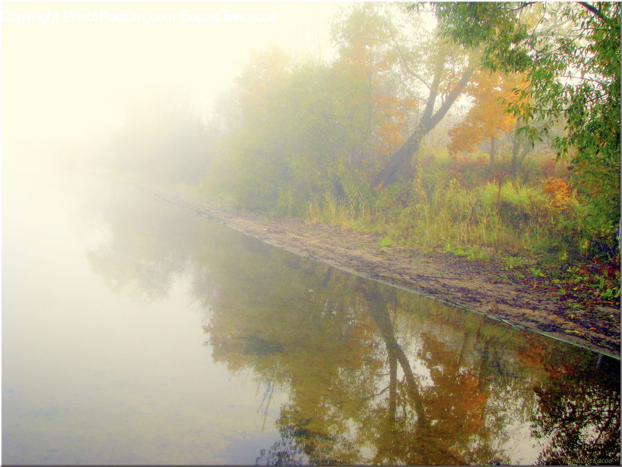 Dawn, Dusk, Sky, Sunrise, Sunset, Outdoors, Pond