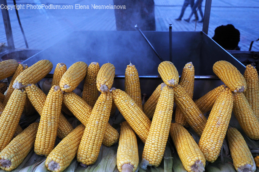 Plant, Food, Corn, Vegetable, Human