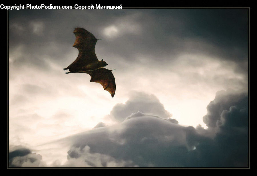 Art, Gargoyle, Statue, Kicking, Bird, Buzzard, Harrier