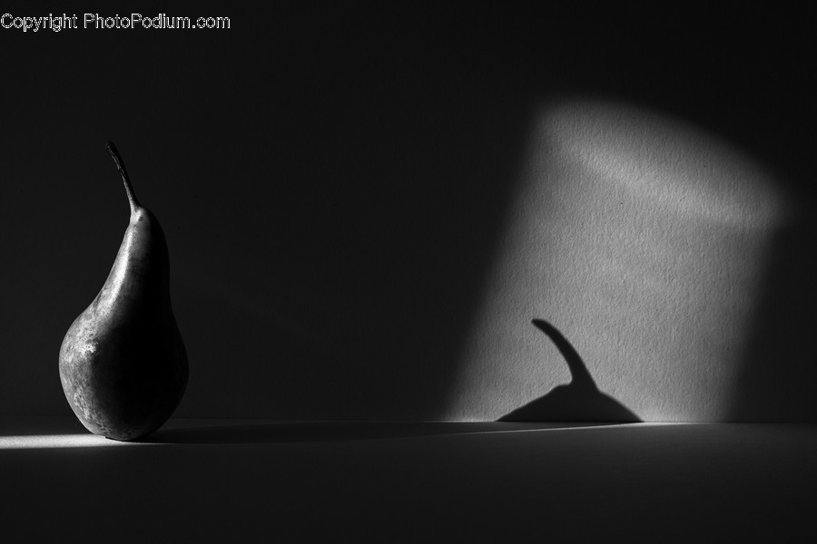 Plant, Lighting, Animal, Bird, Fruit