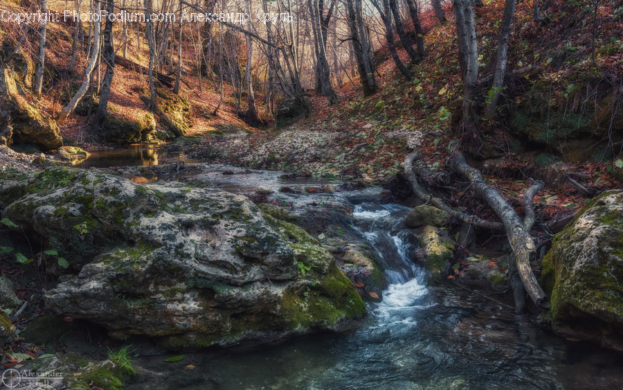 Water, Nature, Outdoors, Stream, Creek