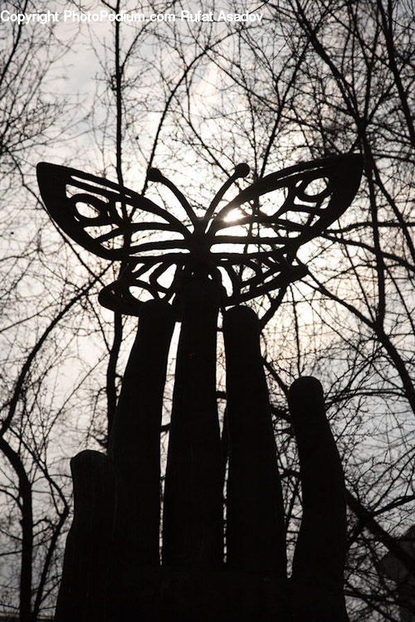 Silhouette, Plant, Tree, Blossom, Flora, Flower