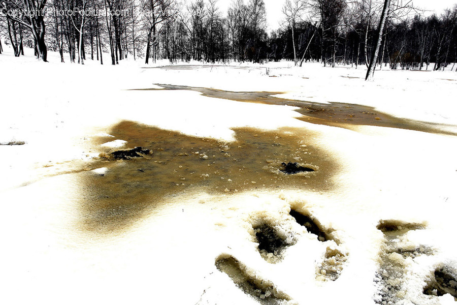 Footprint