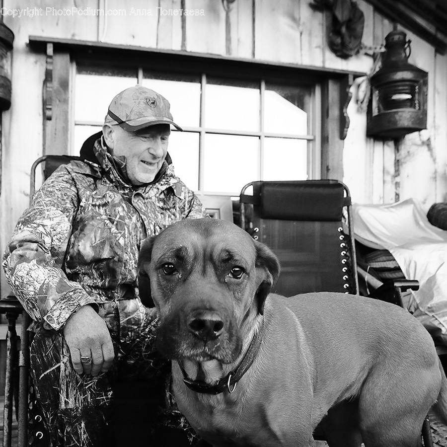 Human, Person, Canine, Mammal, Animal