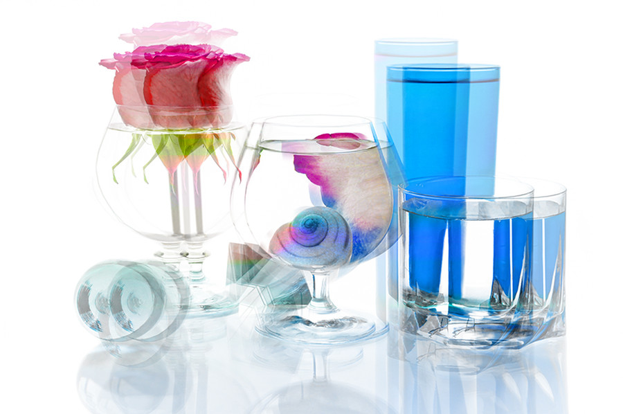 Glass, Flower, Blossom, Rose, Plant