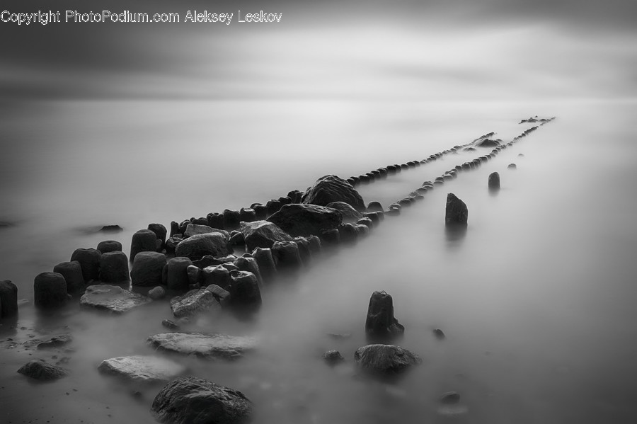 Nature, Fog, Promontory, Weather, Animal