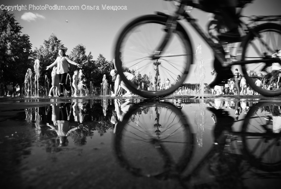 Machine, Wheel, Transportation, Bike, Vehicle