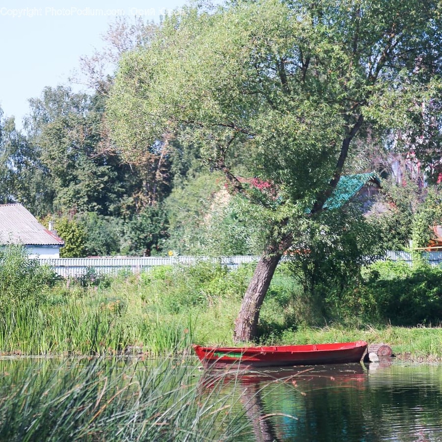Boat, Canoe, Vehicle, Rowboat, Transportation