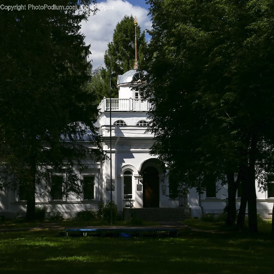 Tree, Plant, Architecture, Building, Grass