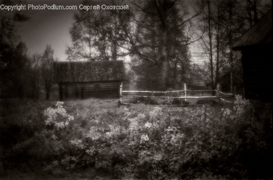 Nature, Outdoors, Building, Housing, Countryside