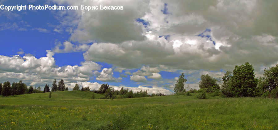 Field, Grass, Grassland, Land, Outdoors, Cloud, Cumulus