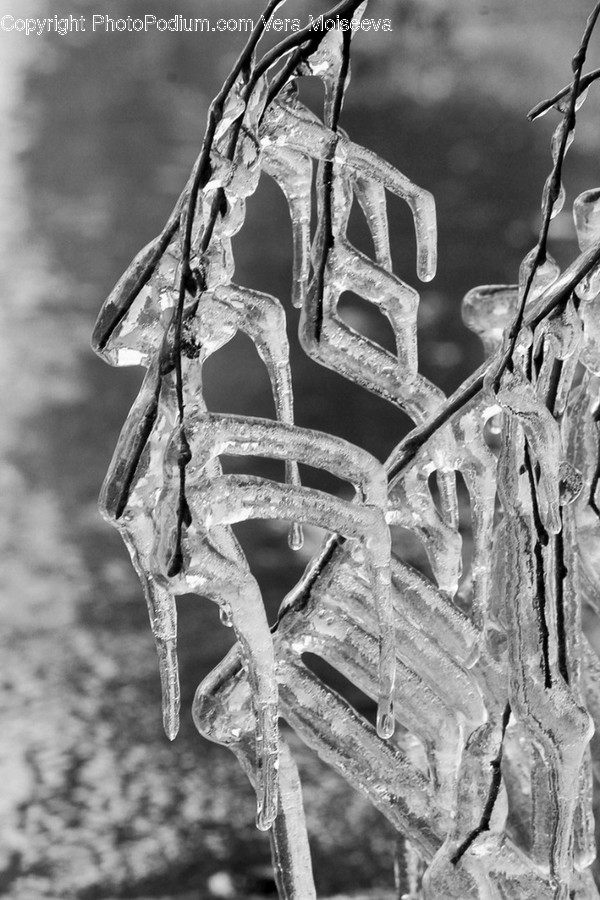 Outdoors, Nature, Ice, Snow, Frost
