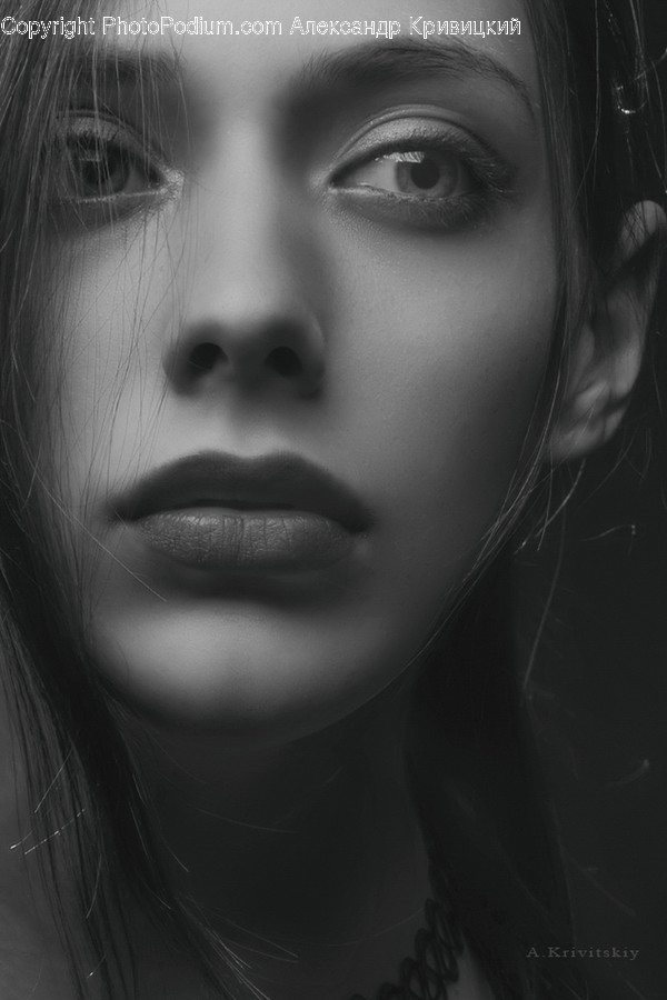 Human, Face, Person, Head, Portrait