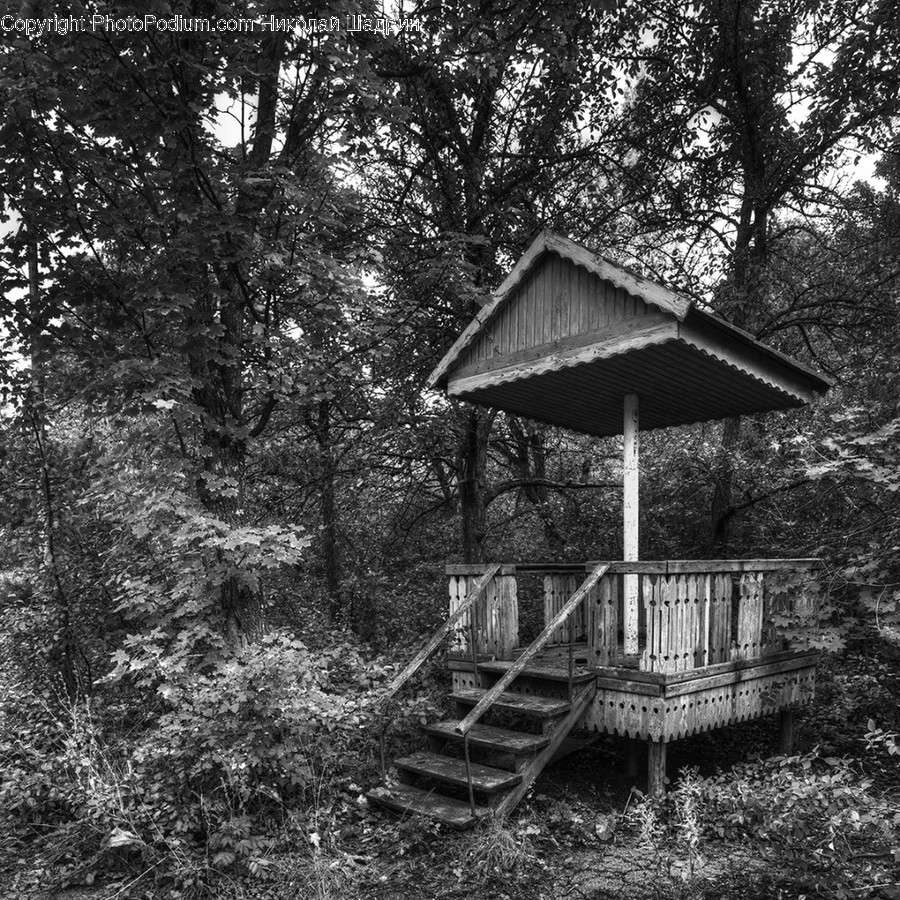 Gazebo, Building, Outdoors, Nature, Countryside