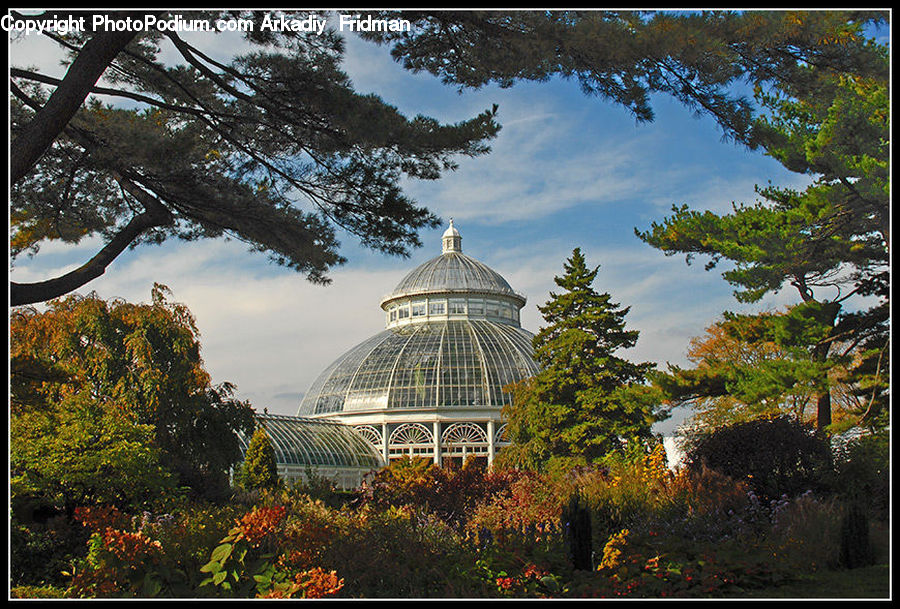 Architecture, Dome, Pagoda, Shrine, Temple, Worship, Garden