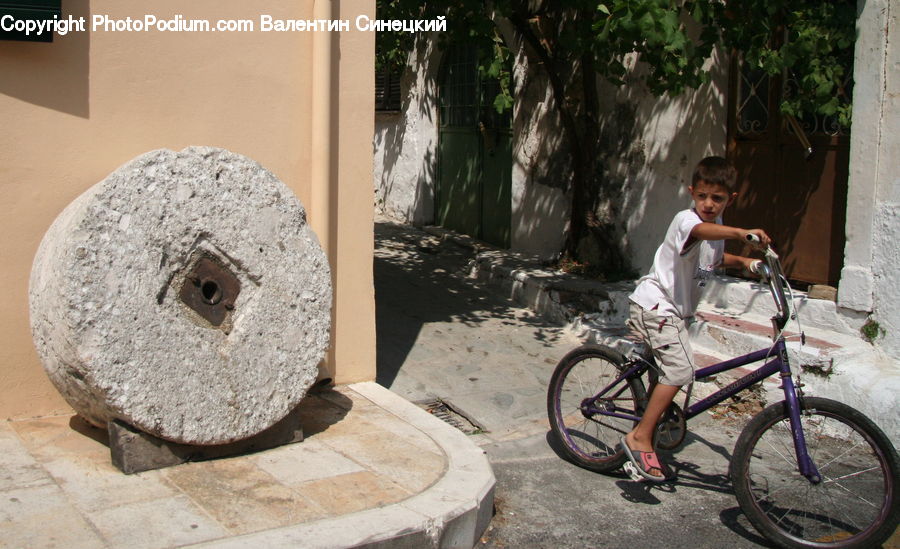 Plant, Potted Plant, People, Person, Human, Bicycle, Bike
