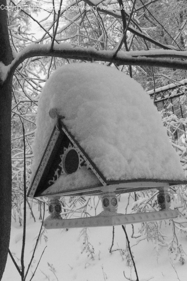 Blizzard, Winter, Storm, Outdoors, Nature