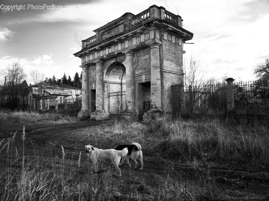Building, Nature, Outdoors, Shelter, Rural
