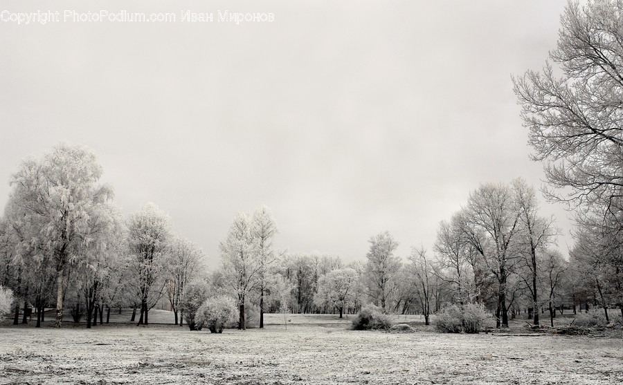 Nature, Ice, Outdoors, Frost, Snow