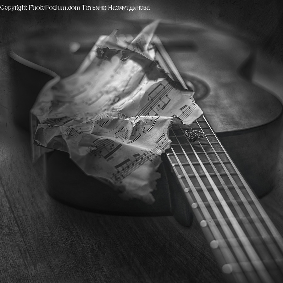 Musical Instrument, Guitar, Leisure Activities, Electric Guitar, Bass Guitar