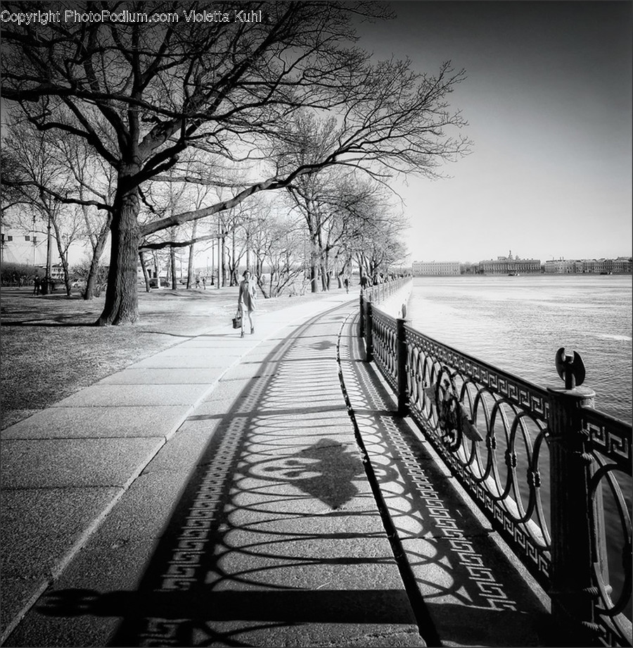 Path, Railing, Pavement, Sidewalk, Human