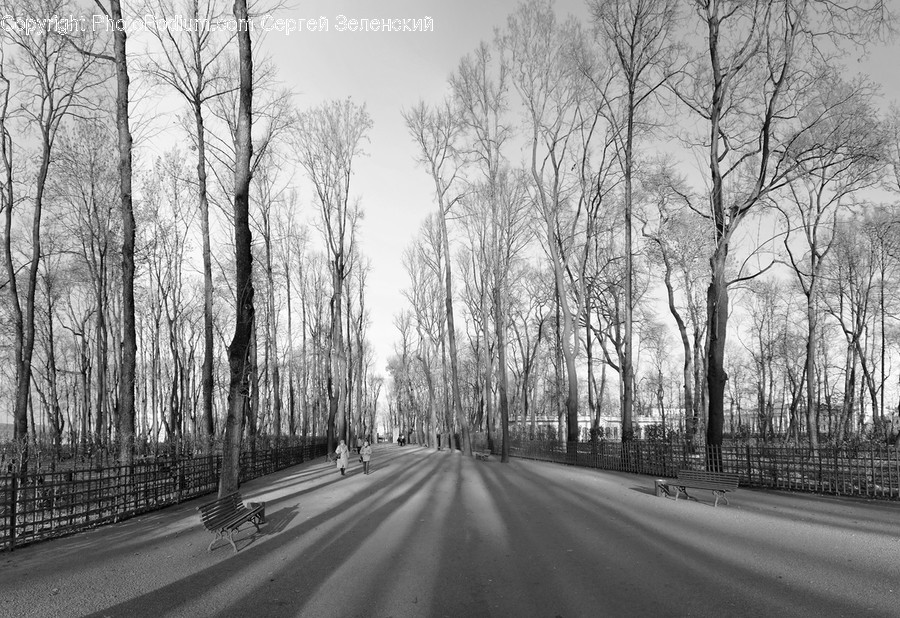 Tarmac, Asphalt, Road, Bench, Furniture