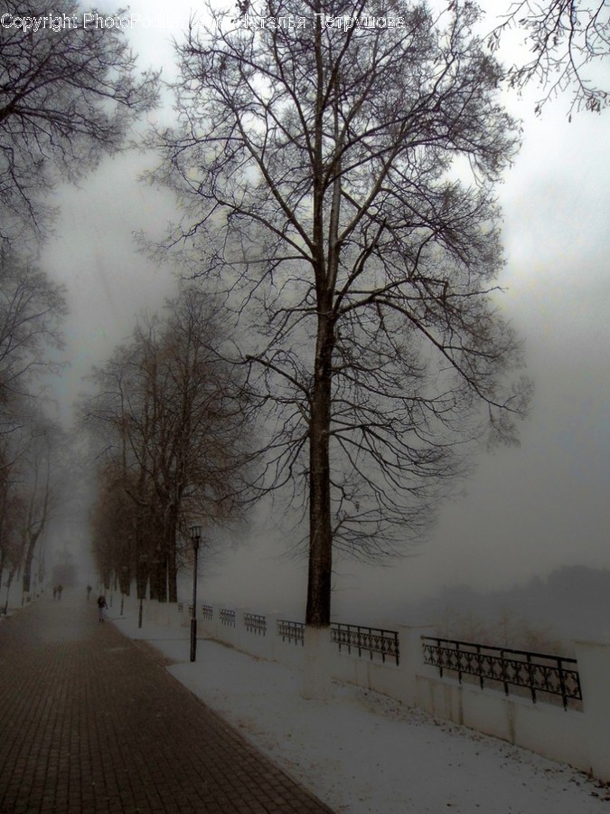 Nature, Outdoors, Weather, Storm, Blizzard