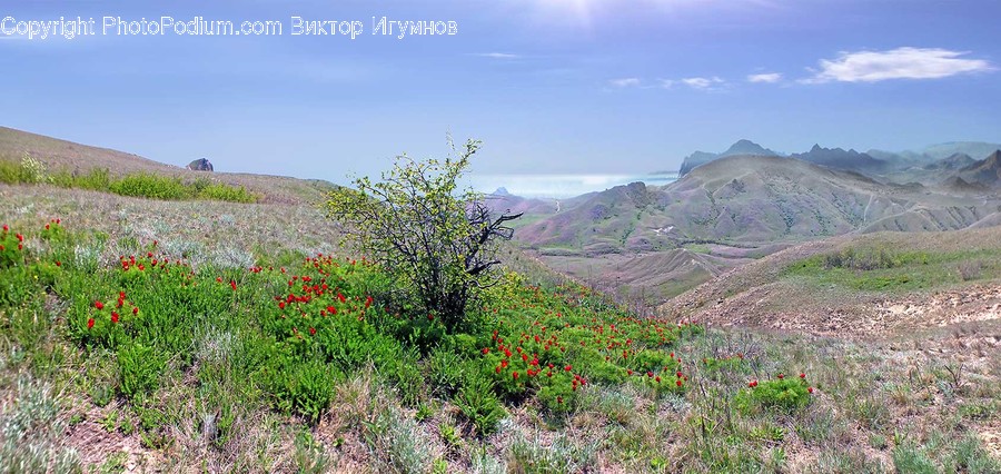 Nature, Outdoors, Hill, Countryside, Plateau
